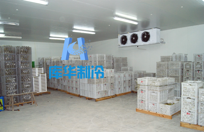 湖州200平水果保鮮庫設計方案